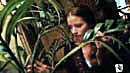 Fred examines the plant