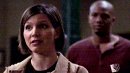 Cordy, Gunn