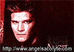 David Boreanaz