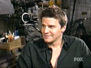 david05.jpg