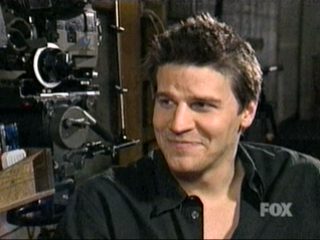 david07.jpg