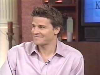 david06.jpg