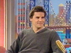 david03.jpg