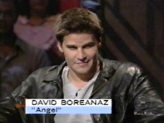 david01.jpg