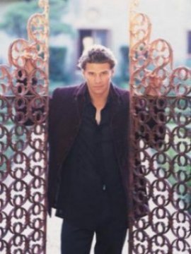 angel01.jpg