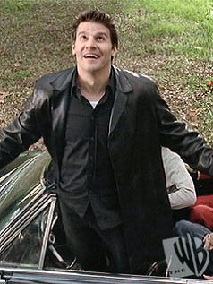 david104.jpg