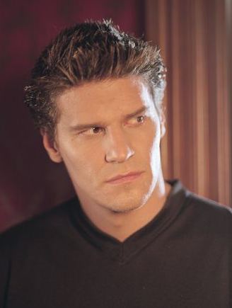 david20.jpg