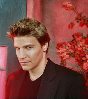 david25.jpg