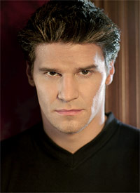 david27.jpg