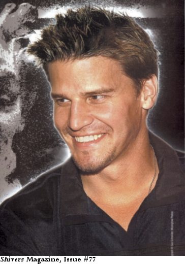 david46.jpg