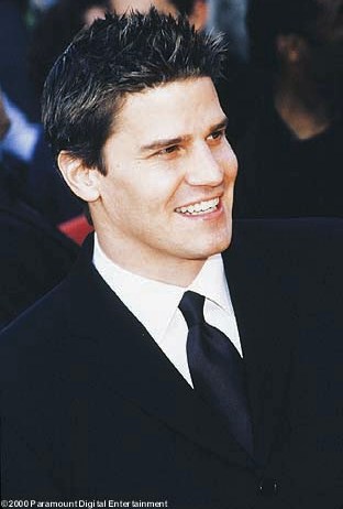 david54.jpg