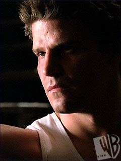 david58.jpg