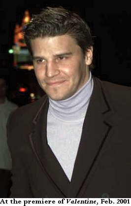 david63.jpg