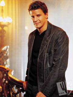 david72.jpg