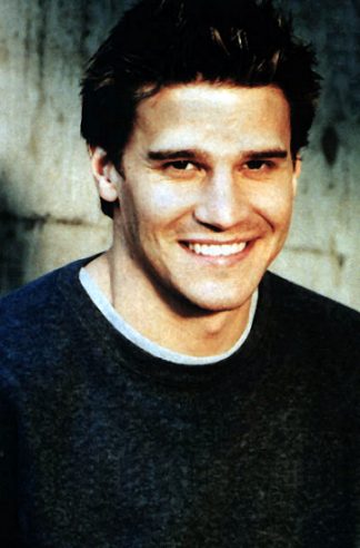 david78.jpg