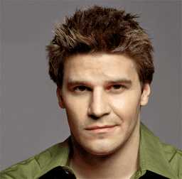 david79.jpg