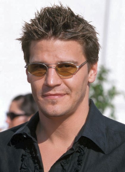 david84.jpg