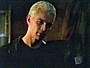 crush30.jpg
