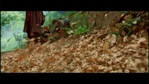 Filename=LotR_FotR0860.jpg
Filesize=140KB
Dimensions=1280x720
Date added=May 15, 2006 LotR_FotR0860.jpg
