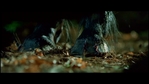 Filename=LotR_FotR0870.jpg
Filesize=99KB
Dimensions=1280x720
Date added=May 15, 2006 LotR_FotR0870.jpg