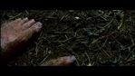 Filename=LotR_FotR0882.jpg
Filesize=155KB
Dimensions=1280x720
Date added=May 15, 2006 LotR_FotR0882.jpg