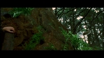 Filename=LotR_FotR0890.jpg
Filesize=136KB
Dimensions=1280x720
Date added=May 15, 2006 LotR_FotR0890.jpg
