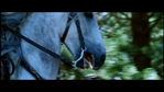 Filename=LotR_FotR1500.jpg
Filesize=109KB
Dimensions=1280x720
Date added=May 15, 2006 LotR_FotR1500.jpg