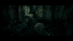 LotR_FotR2578.jpg