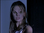 nightmares560.jpg
44
980x734
8. 2006 nightmares560.jpg