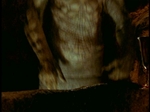 ReptileBoy332.jpg
60
1052x788
8. 2006 ReptileBoy332.jpg