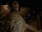 ReptileBoy336.jpg
58
1052x788
8. 2006 ReptileBoy336.jpg