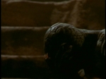 ReptileBoy355.jpg
39
1052x788
8. 2006 ReptileBoy355.jpg