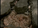 badeggs_266.jpg
69
1024x768
9. 2006 badeggs_266.jpg