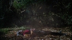 all_the_way_727.jpg
65
1012x568
14. 2006 all_the_way_727.jpg