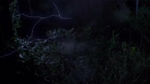 villians_706.jpg
29
1016x570
14. 2006 villians_706.jpg