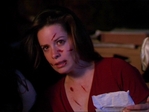 Filename=Charmed413_661.jpg
Filesize=132KB
Dimensions=1064x800
Date added=May 30, 2006 Charmed413_661.jpg