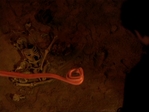 Charmed422_246.jpg