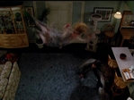 Filename=Charmed518_015.jpg
Filesize=161KB
Dimensions=1032x776
Date added=Aug 03, 2006 Charmed518_015.jpg