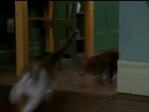 Filename=Charmed518_022.jpg
Filesize=110KB
Dimensions=1032x776
Date added=Aug 03, 2006 Charmed518_022.jpg