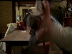 Filename=Charmed518_154.jpg
Filesize=148KB
Dimensions=1032x776
Date added=Aug 03, 2006 Charmed518_154.jpg