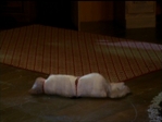 Filename=Charmed518_720.jpg
Filesize=123KB
Dimensions=1032x776
Date added=Aug 03, 2006 Charmed518_720.jpg