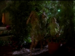 Charmed519_444.jpg
136
1032x776
4. 2006 Charmed519_444.jpg