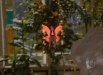 Filename=Charmed820_603.jpg
Filesize=239KB
Dimensions=1194x873
Date added=May 28, 2006 Charmed820_603.jpg
