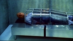 smallville309_263.jpg