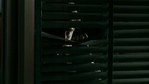 Filename=Tru119_120.jpg
Filesize=83KB
Dimensions=1176x664
Date added=Mar 03, 2006 Tru119_120.jpg