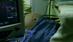 veronicamars209_516.jpg