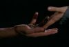 chosen0443.jpg