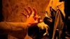 hands3.jpg
