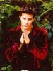 b2_angel_promo_9.jpg
