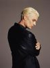 spikepromo5a.jpg